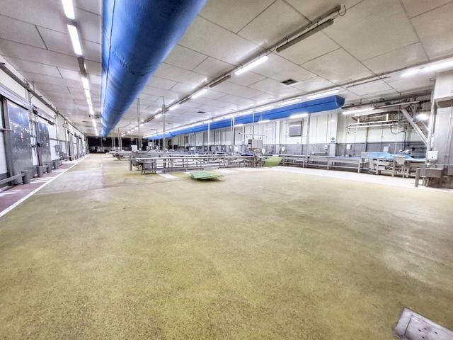 Stabilimenti produttivi in vendita