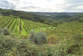 Agricoli in vendita