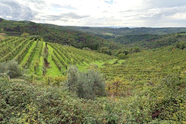 Agricoli in vendita