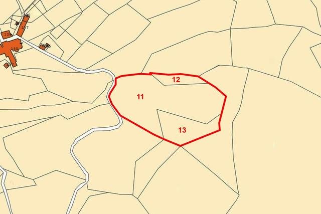 Agricoli in vendita