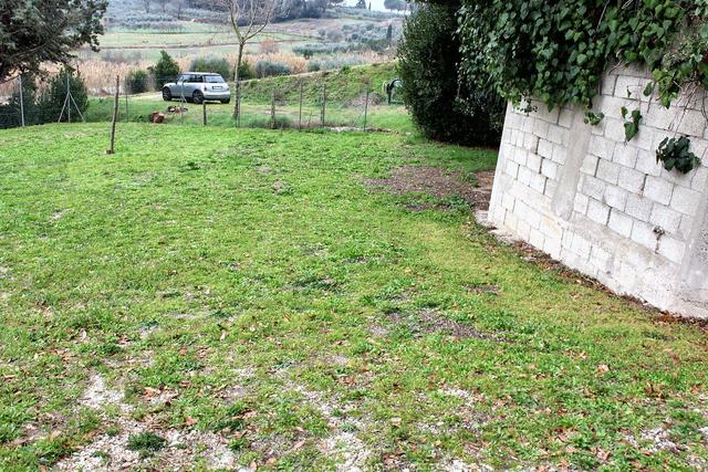 Appartamenti in vendita