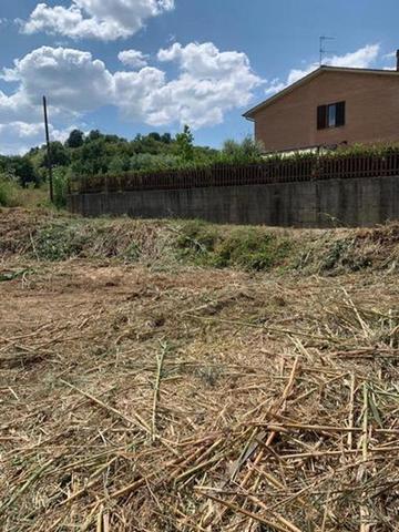 Palazzi in vendita