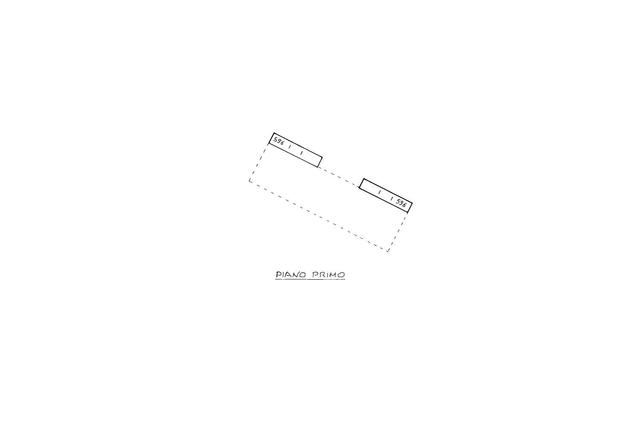 pianta-primo-piano