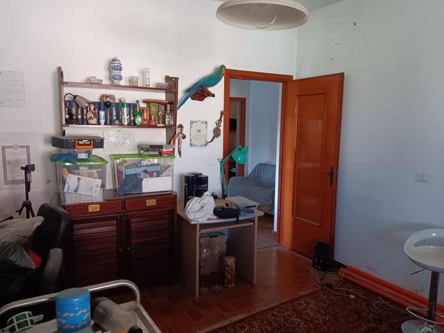 Appartamenti in vendita