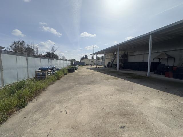 Artigianali in vendita