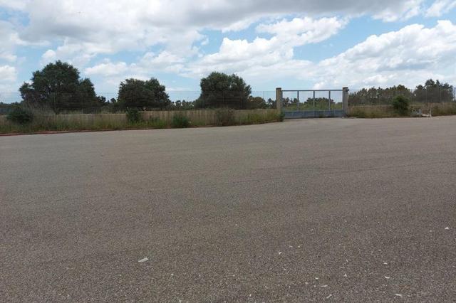 #14867 Capannone logistico con uffici e piazzale in vendita - foto 4