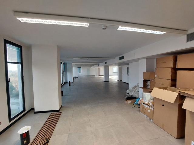 Grandi dimensioni in vendita