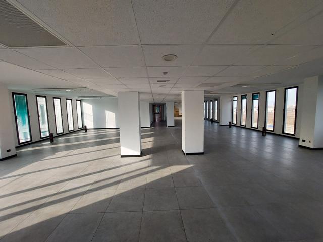 Grandi dimensioni in vendita