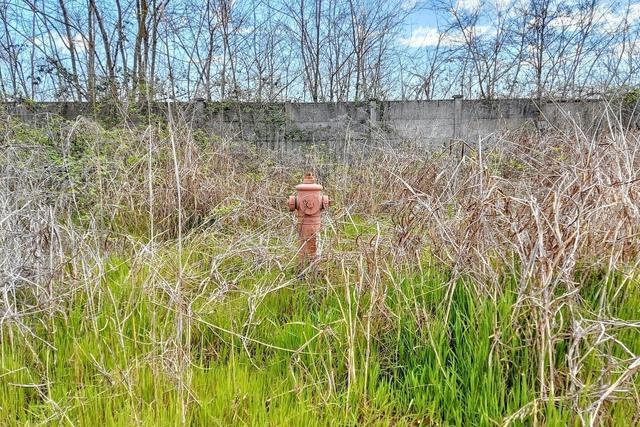 #2515005 Complesso produttivo con palazzina uffici in vendita - foto 23